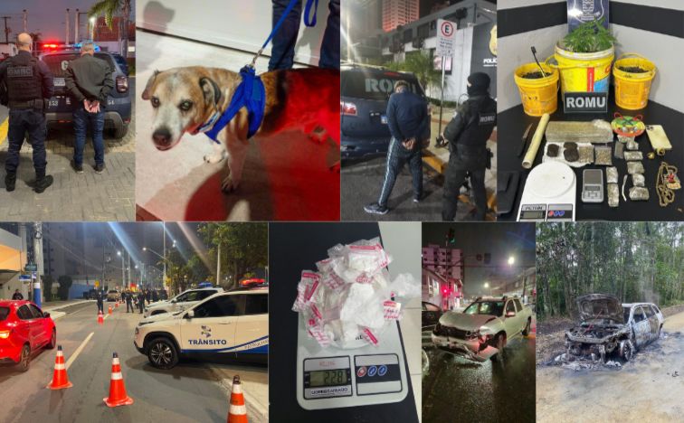 As ocorrências atendidas no final de semana: de acidentes de trânsito passando por carro que pegou fogo até apreensões de drogas e cão resgatado após ser agredido. Crédito PMBC/13BBM