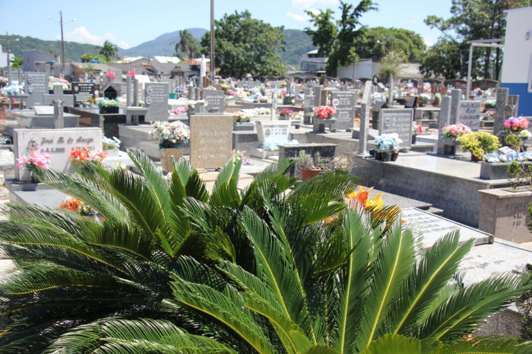 Divulgação/PMBC