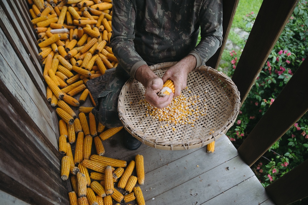 Produção local Santa Rosa de Lima (Divulgação)