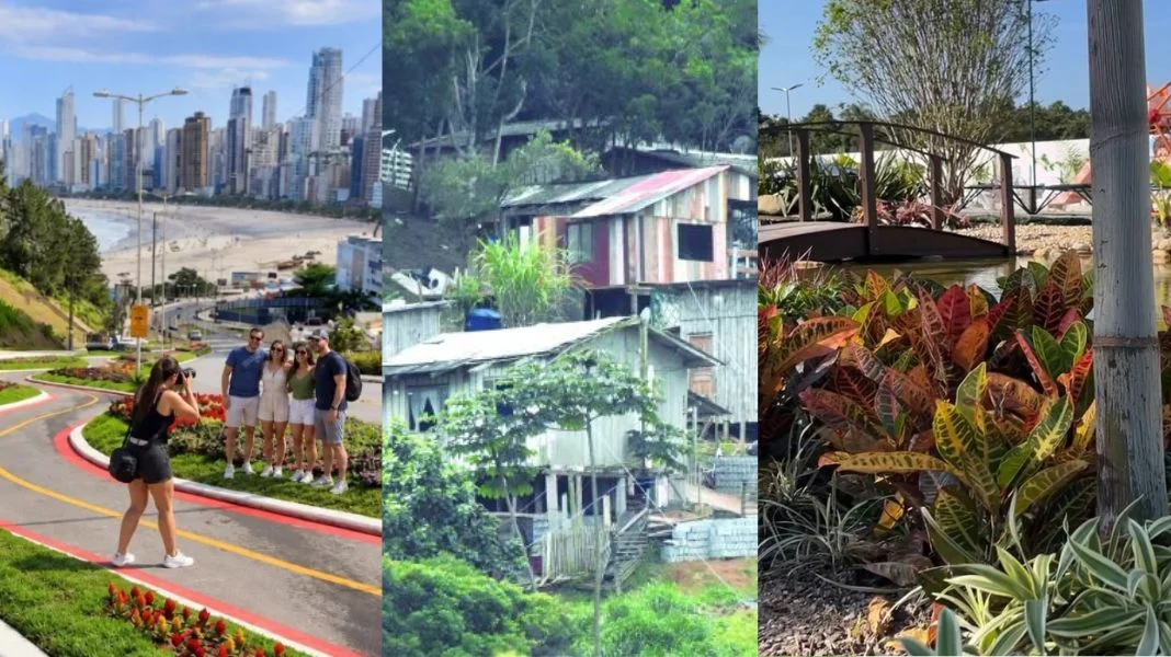 Na pauta desta quarta: credenciamento de fotógrafos, acordo da Vila Fortaleza e jardins neurossensoriais. (Fotos Divulgação.)