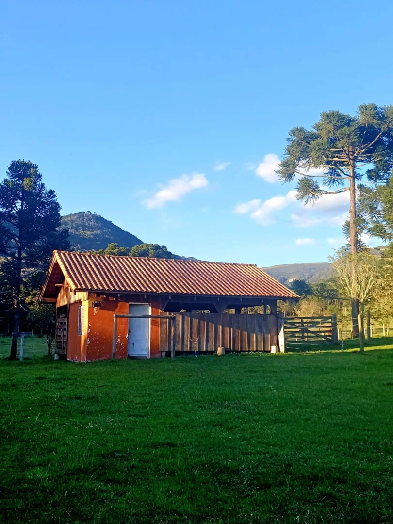 Foto Hélvion Ribeiro