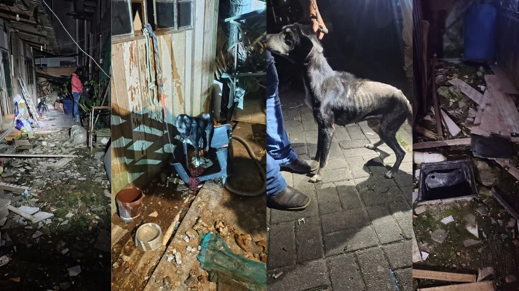Foto Divulgação/Fucam