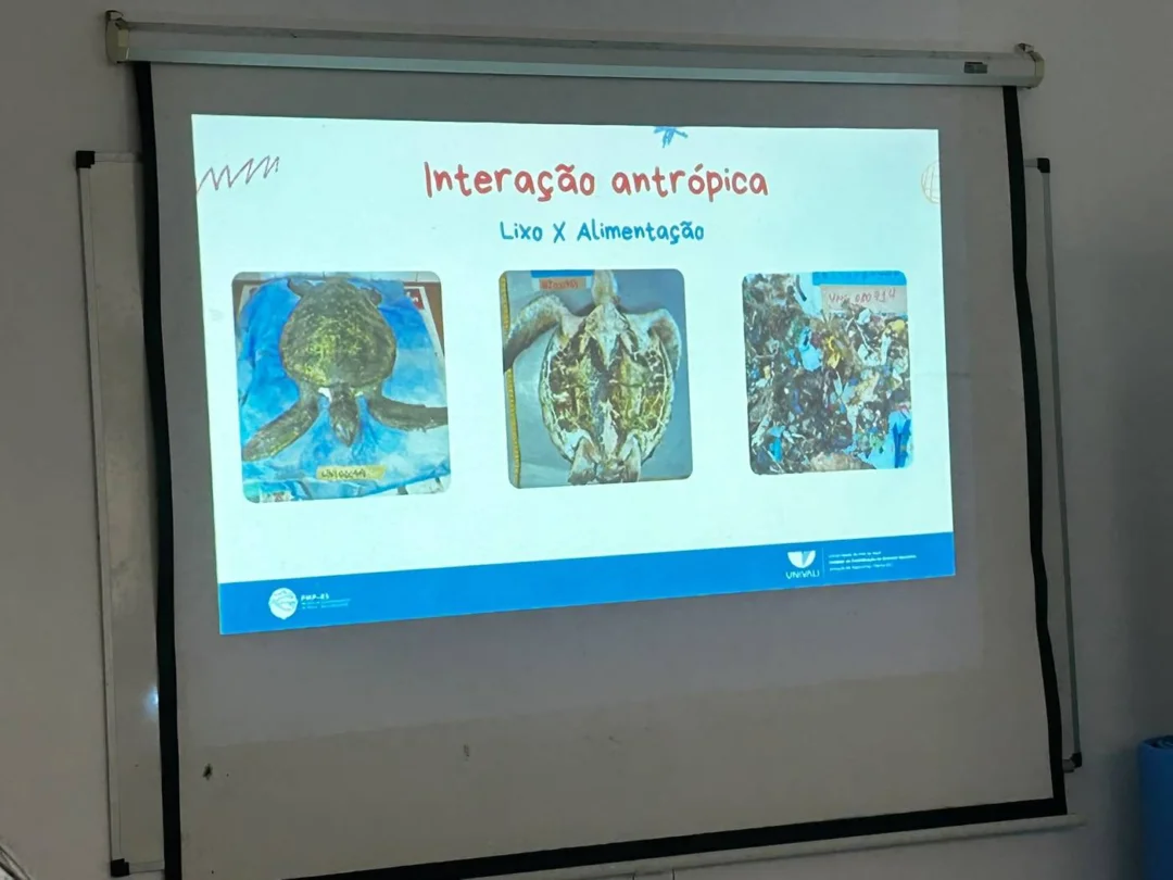 Apresentação mostra consequências da poluição para os animais (Foto Renata Rutes)