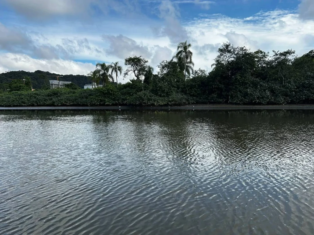 O Rio Camboriú faz parte do conteúdo nos NEIs e escolas de Balneário Camboriú (Foto Renata Rutes)