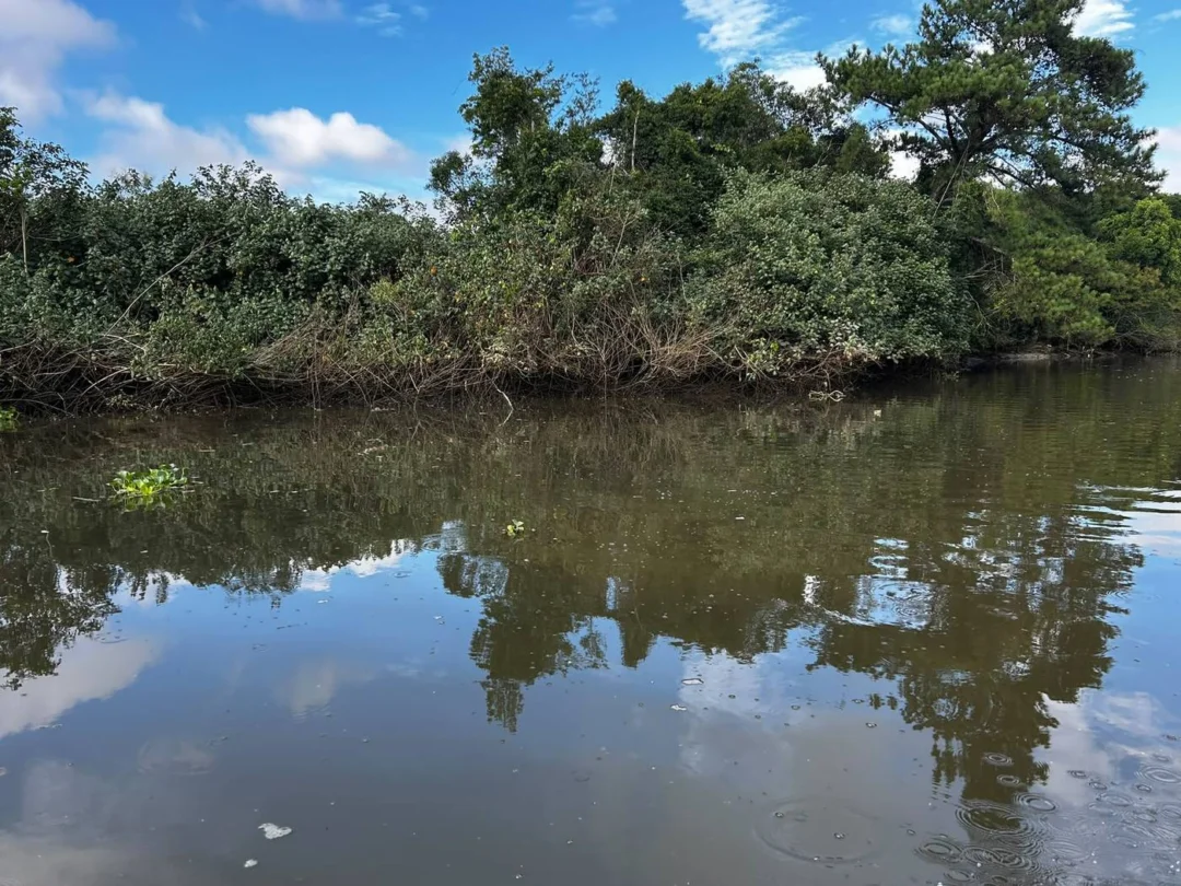 Rio Camboriú também entra na pauta do projeto (Foto Renata Rutes)